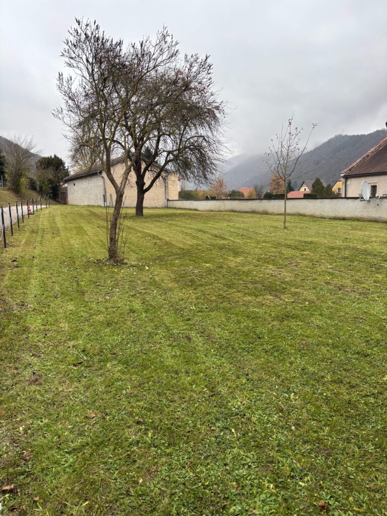 Rasenmähen in der Stadt